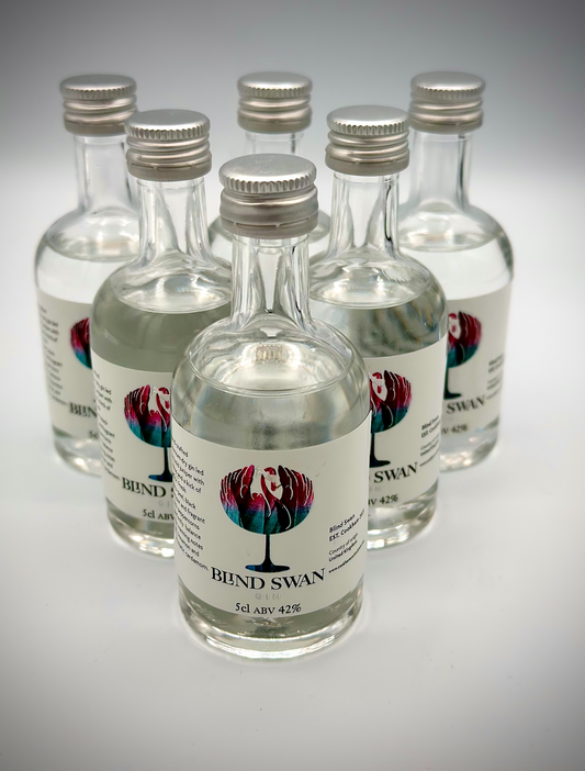 Blind Swan Gin Mini